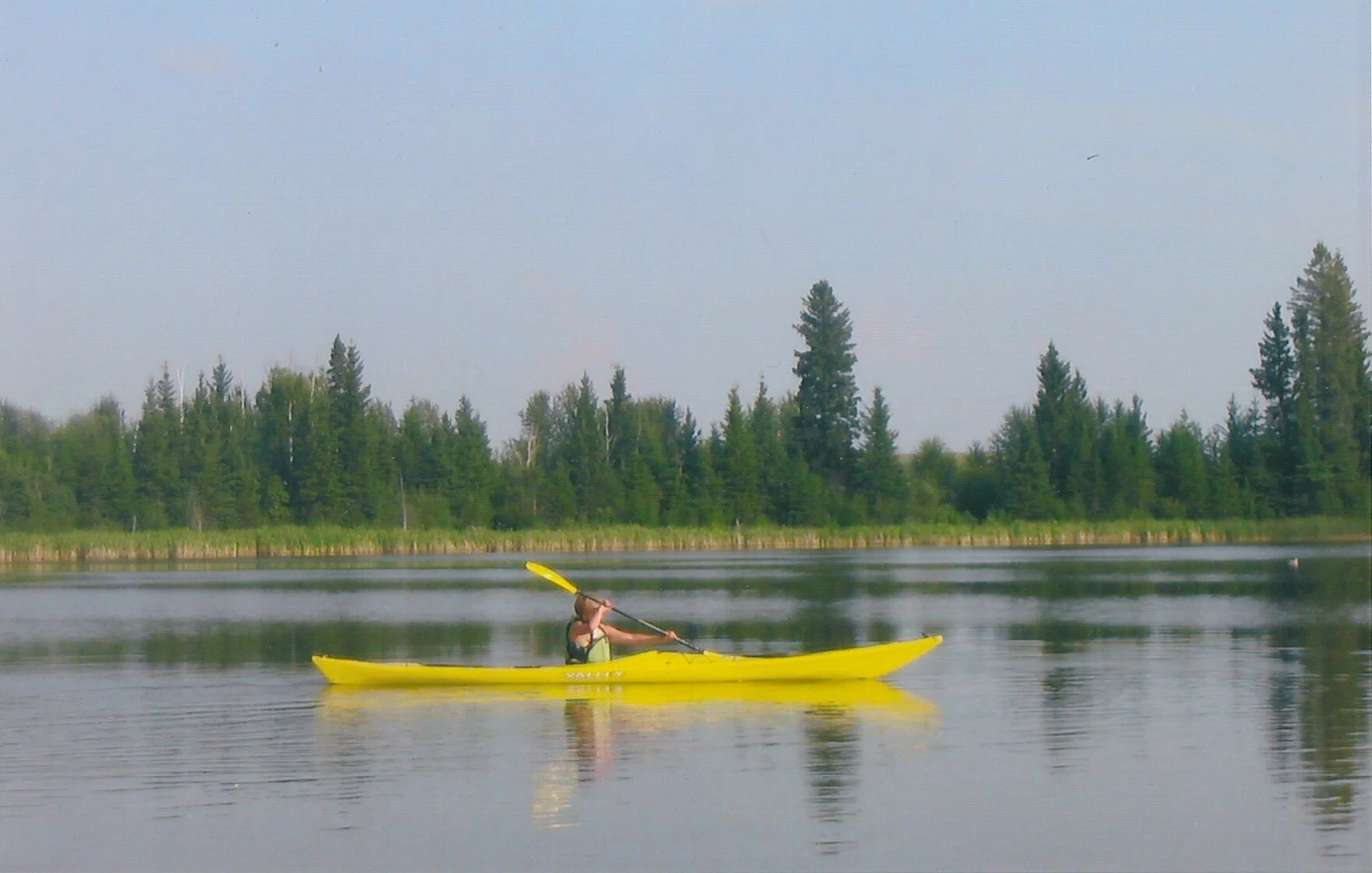 IMG_20200619_0013.jpg