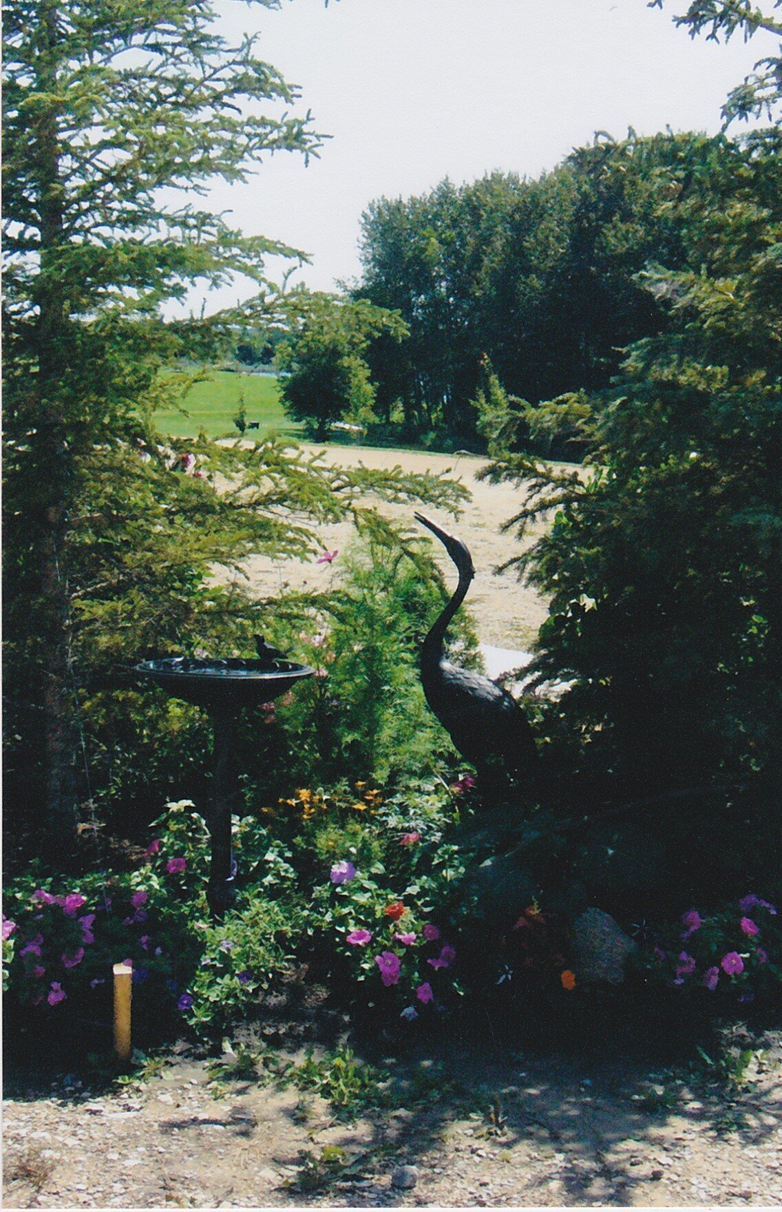 IMG_20200619_0015.jpg