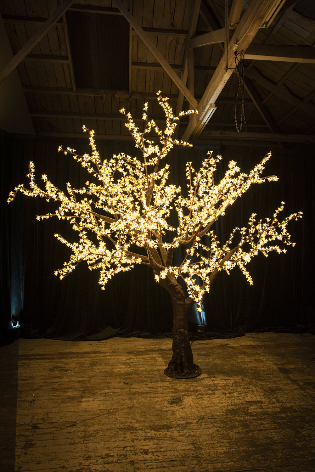 Light Up Trees — Gravity Events