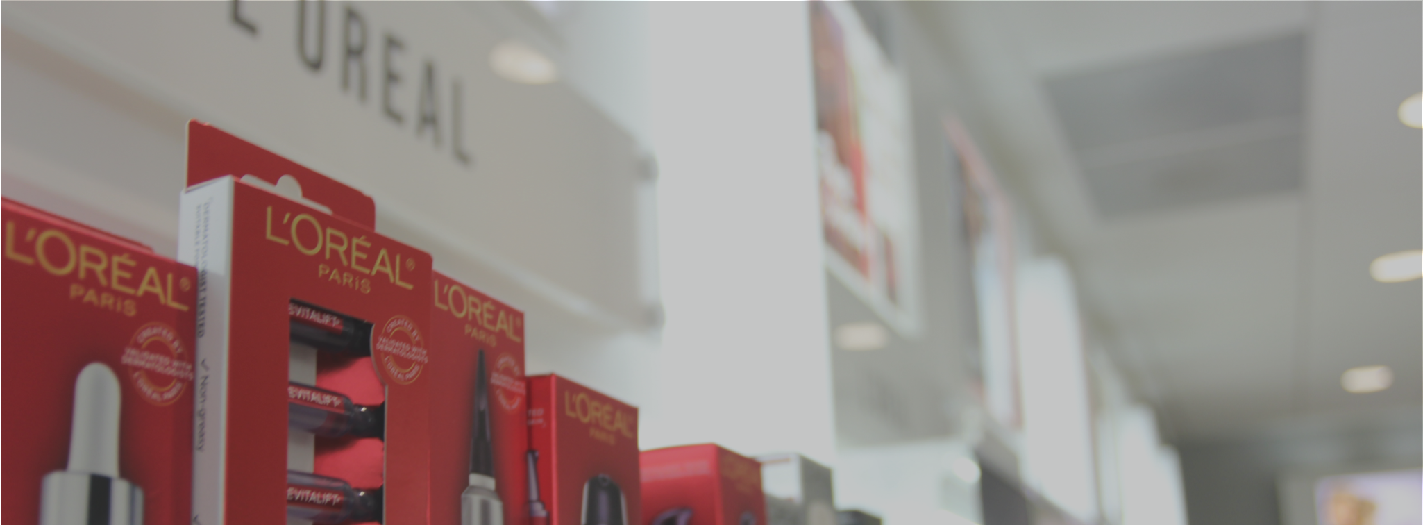 Brand Portfolio Hero Image.png