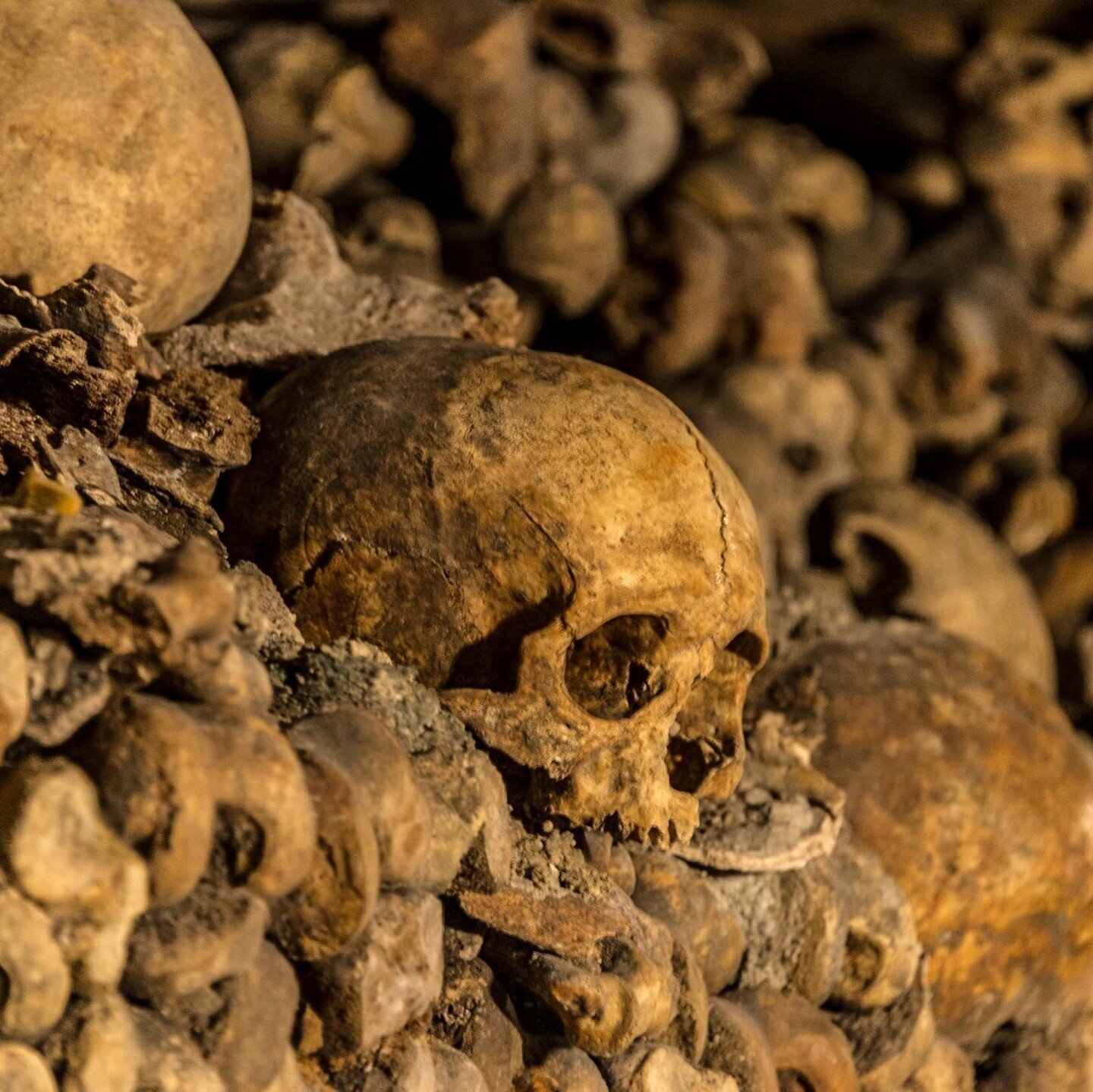 An afternoon in The Catacombs of Paris is not for the faint of heart. ⁠
⁠
It's one of the more unique stops on our 4-day Paris itinerary. ⁠
⁠
What's your &quot;do not miss&quot; attraction in Paris?⁠
⁠
⁠
#travel #skull #travelphotography #photography