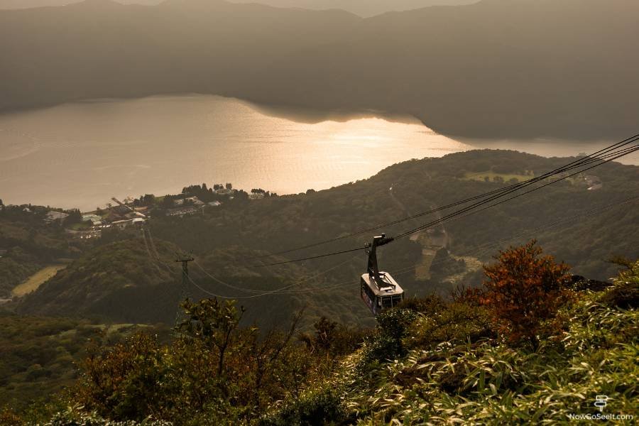 Mt. Fuji Day Trip from Tokyo: Plus Hakone from Tokyo