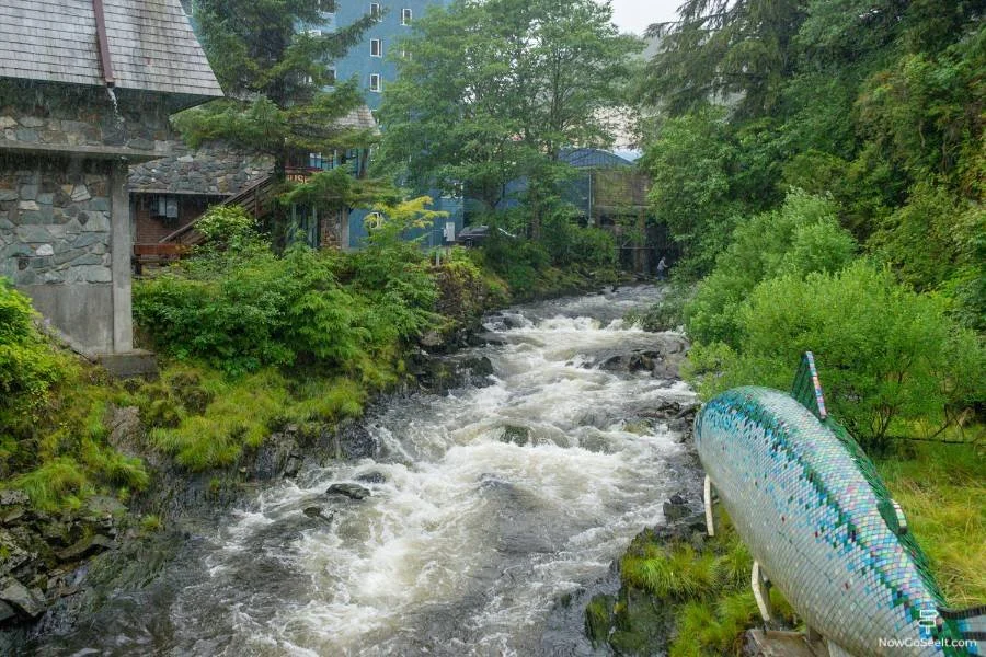 Ketchikan On Your Own