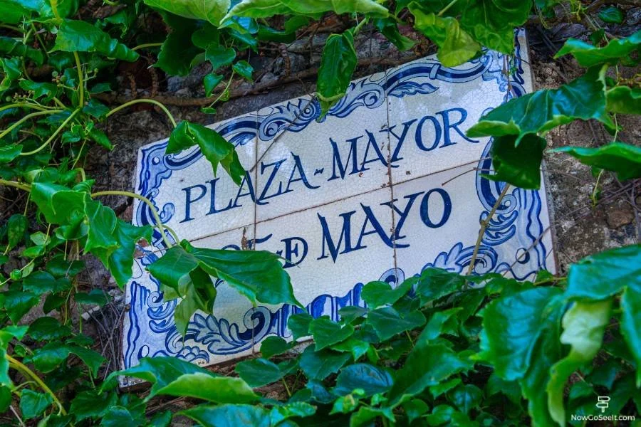 Uruguay Day Trip From Buenos Aires: Colonia de Sacramento - Plaza Mayor