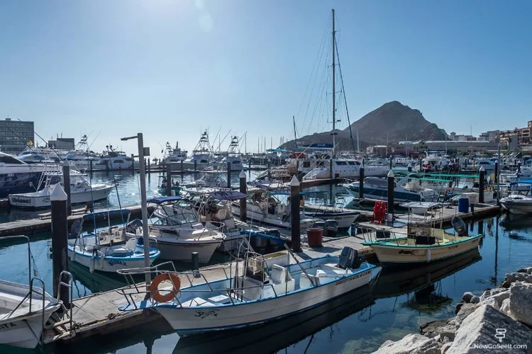 Cruise Port Cabo San Lucas: Guide To Your One Day in Cabo