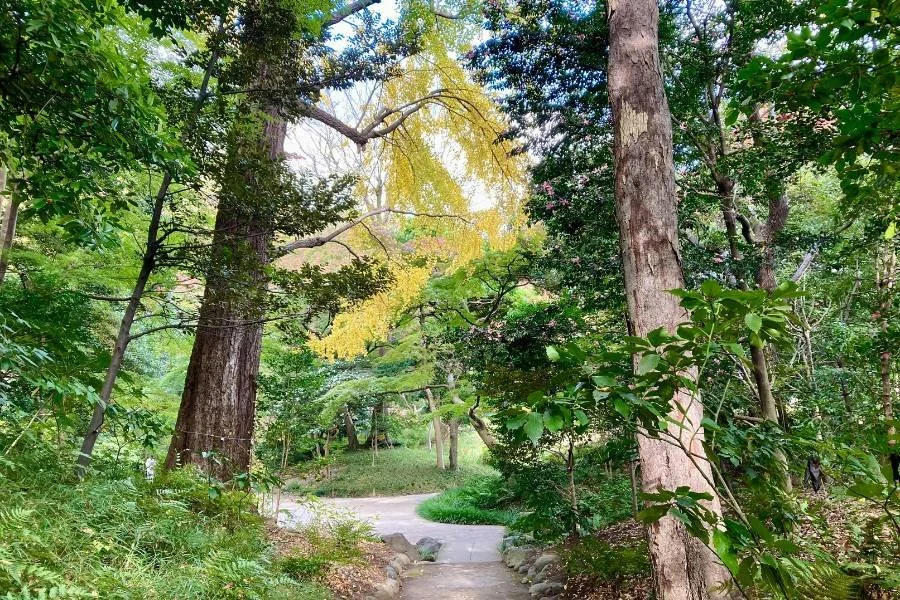 One Month in Japan Itinerary: What To See in Japan - Shinjuku Gyoen National Garden