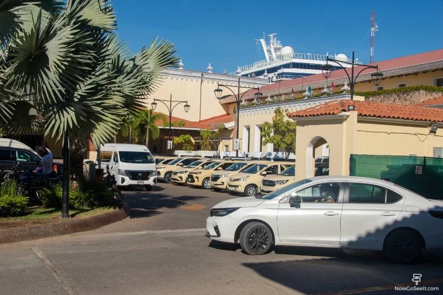 Cruise Port Puerto Vallarta: Things To Do in Puerto Vallarta - Taxis