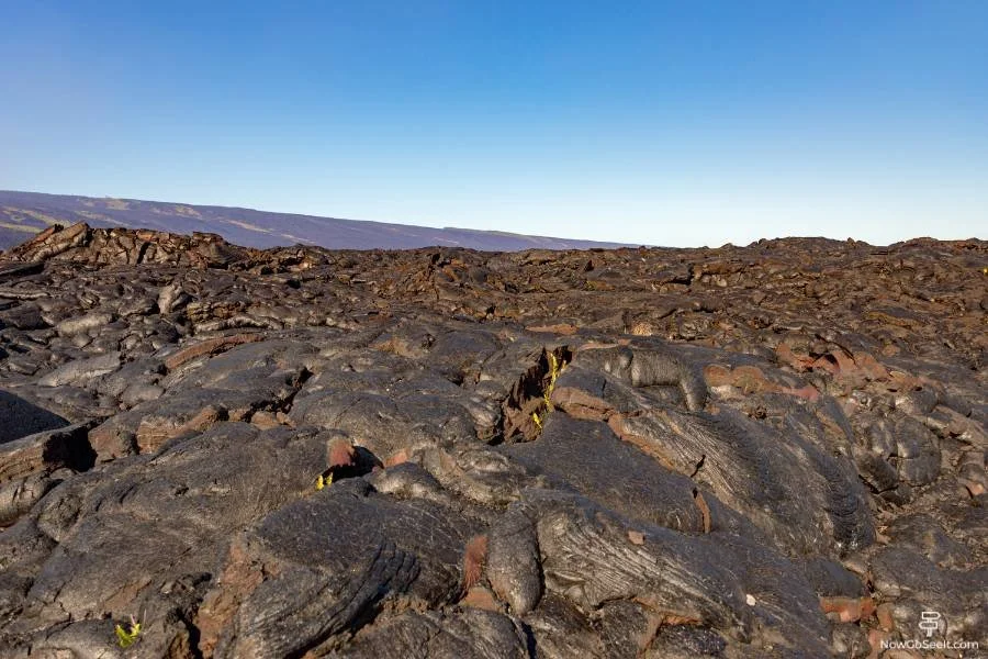 Hawaii Volcanoes National Park One Day Itinerary By Car