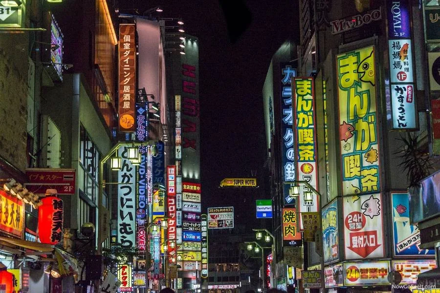 One Month in Japan Itinerary: What To See in Japan - Tokyo at night