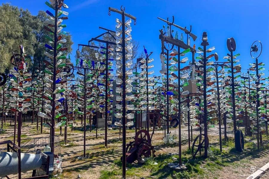 Los Angeles to Las Vegas Road Trip: Quirky and Fun Stops - Elmer’s Bottle Tree Ranch