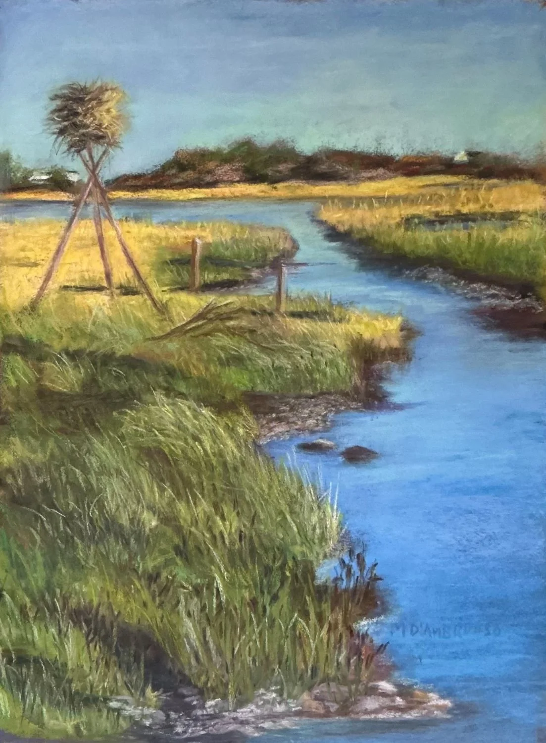 View from Osprey's Nest     15x 11     500