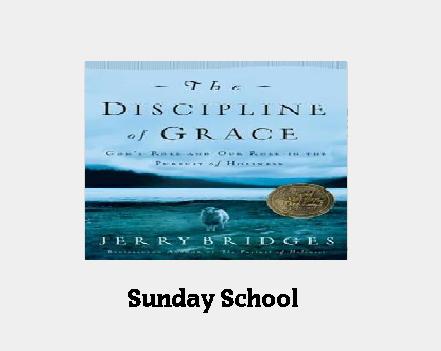 Disciplines Of Grace -Bridges 