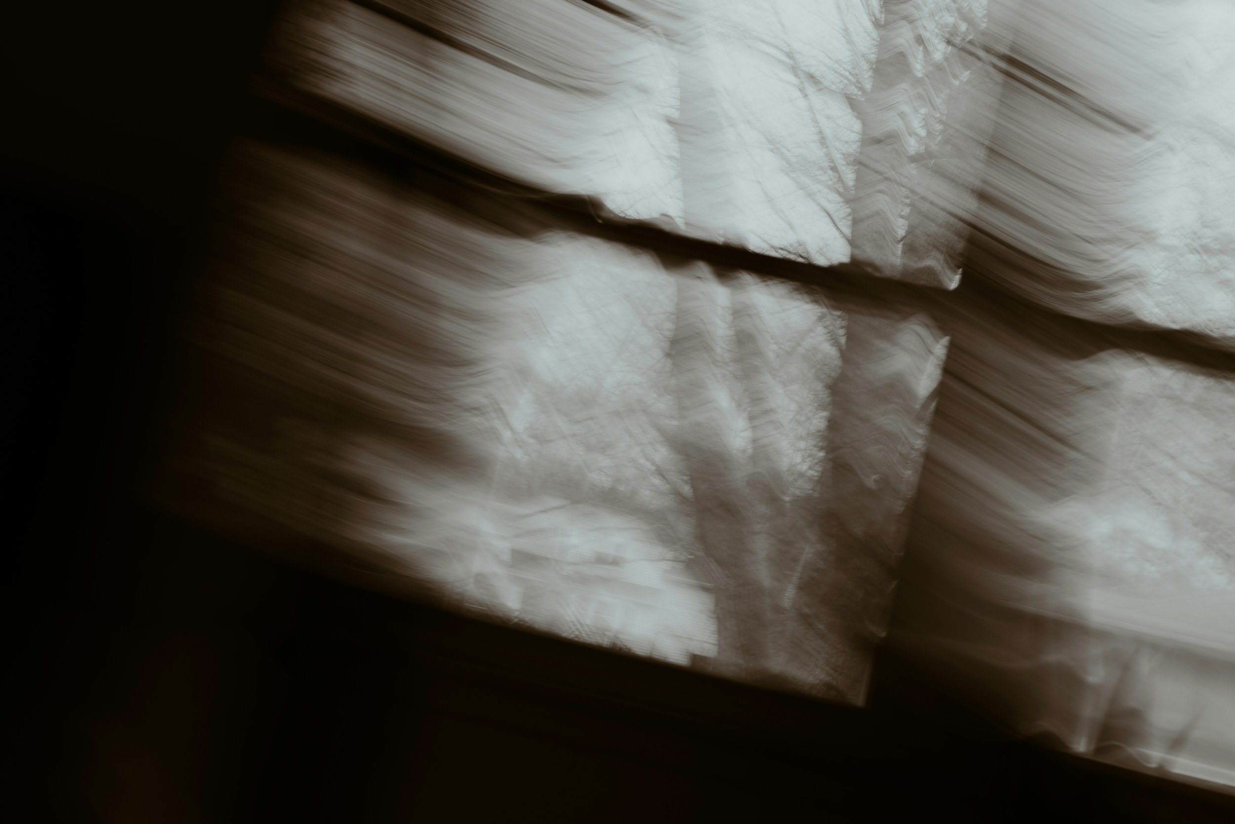 Blurred black-and-white image of trees seen through a window, with the window frame partially visible.