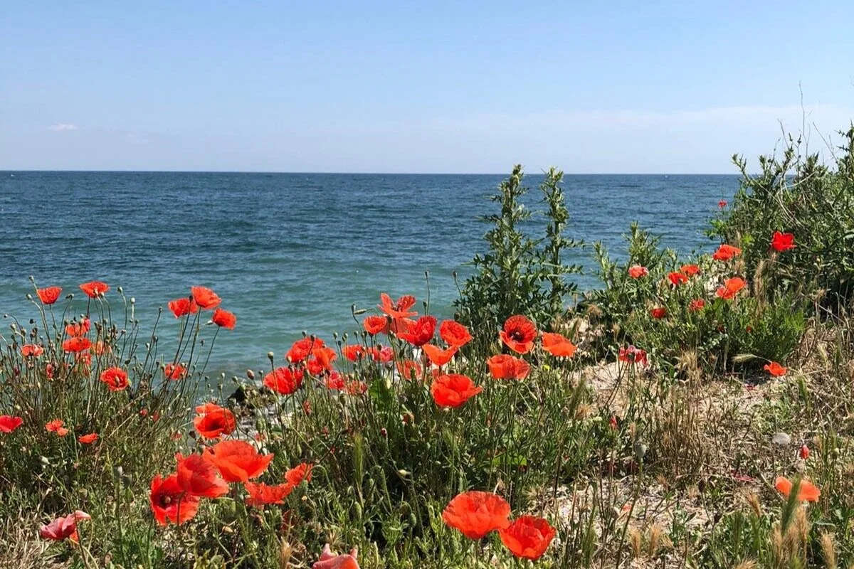 Living Life According to your End-Game Goal?