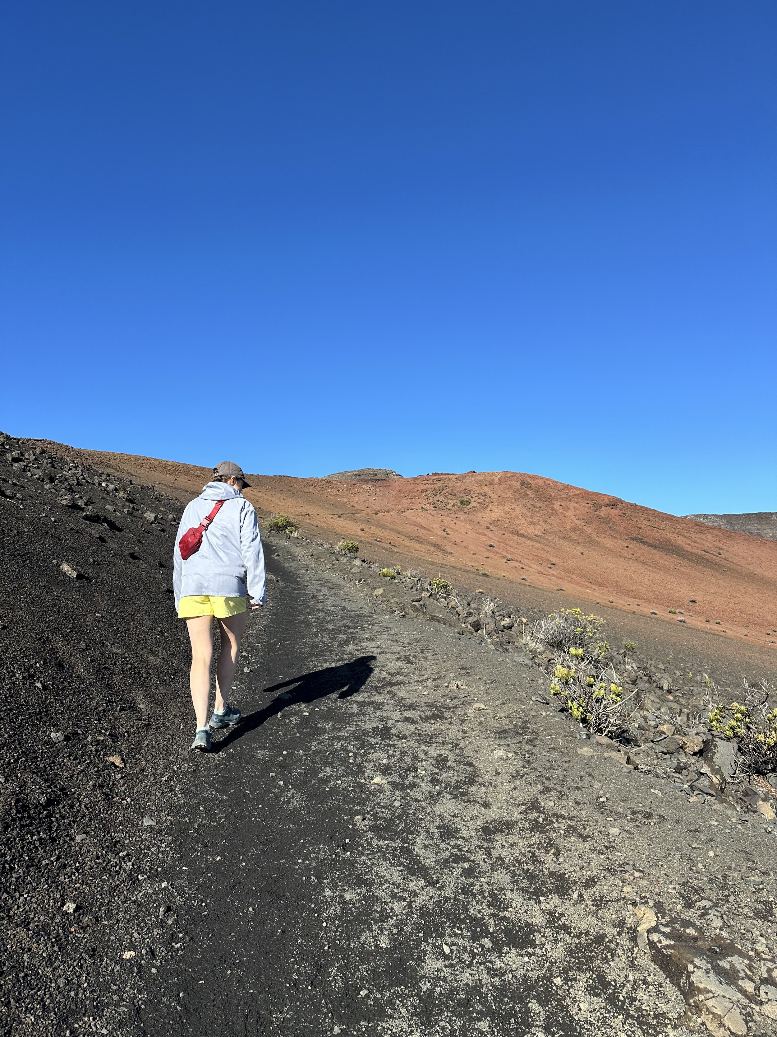 Rest Days and Strength Training: Why Taking a Day Off Actually Makes You Stronger!