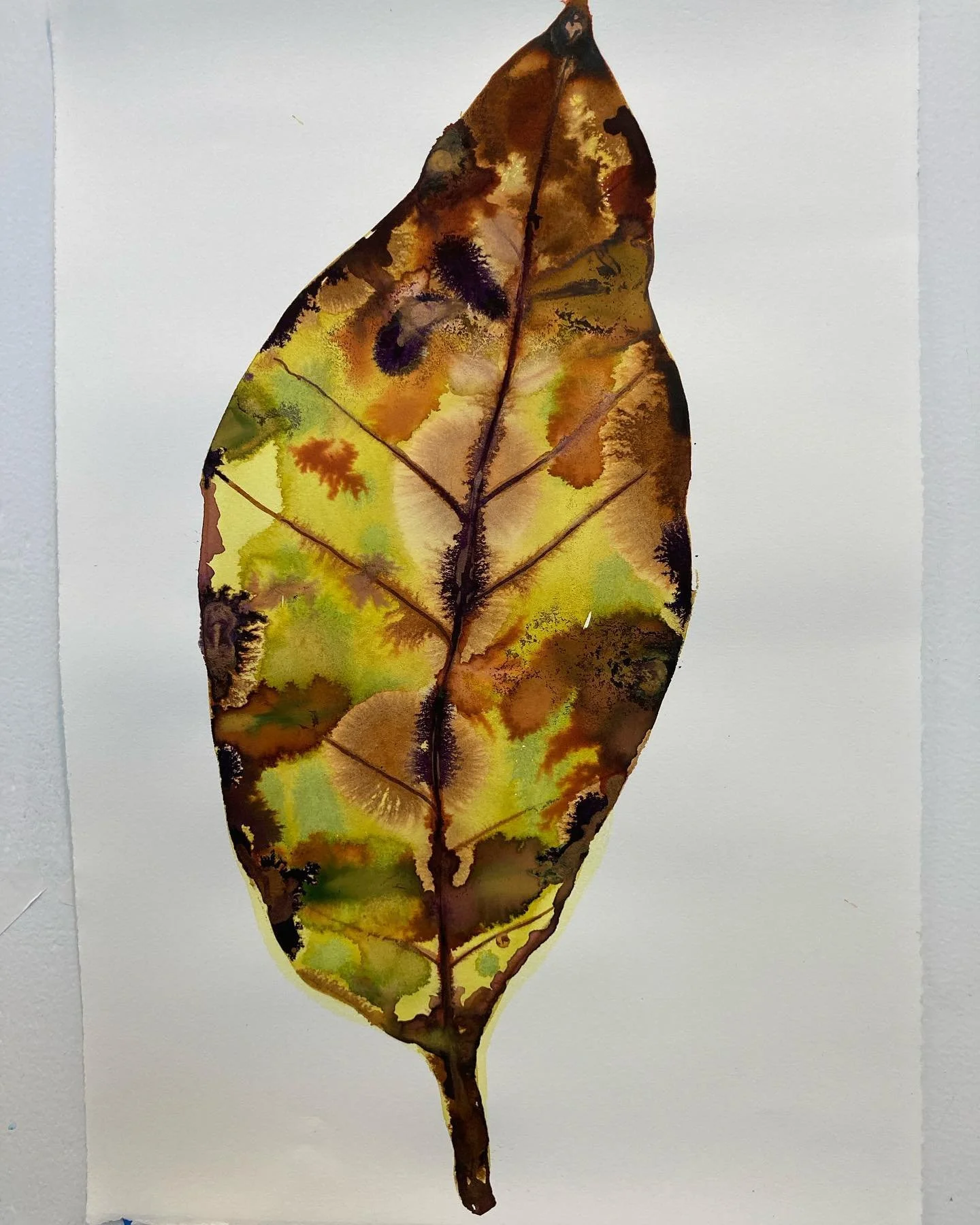 Wrapping up my stay at Iris Project Residency. What a wonderful experience! Thank you Iris Project and Ford Family Foundation for this opportunity.