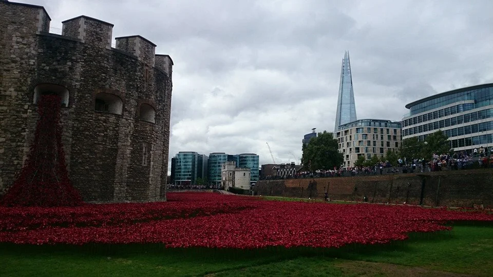 J Ngui Tower Poppie 1.jpg
