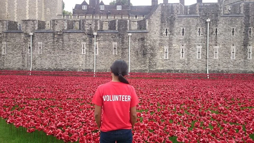 J NGUI TOWER POPPIES.jpg