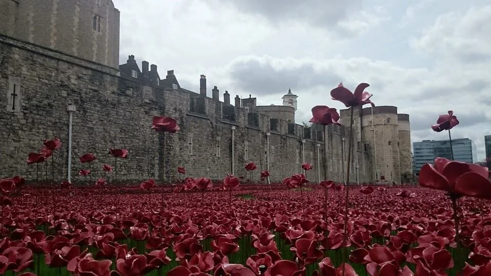 J Ngui Tower Poppies 2.jpg