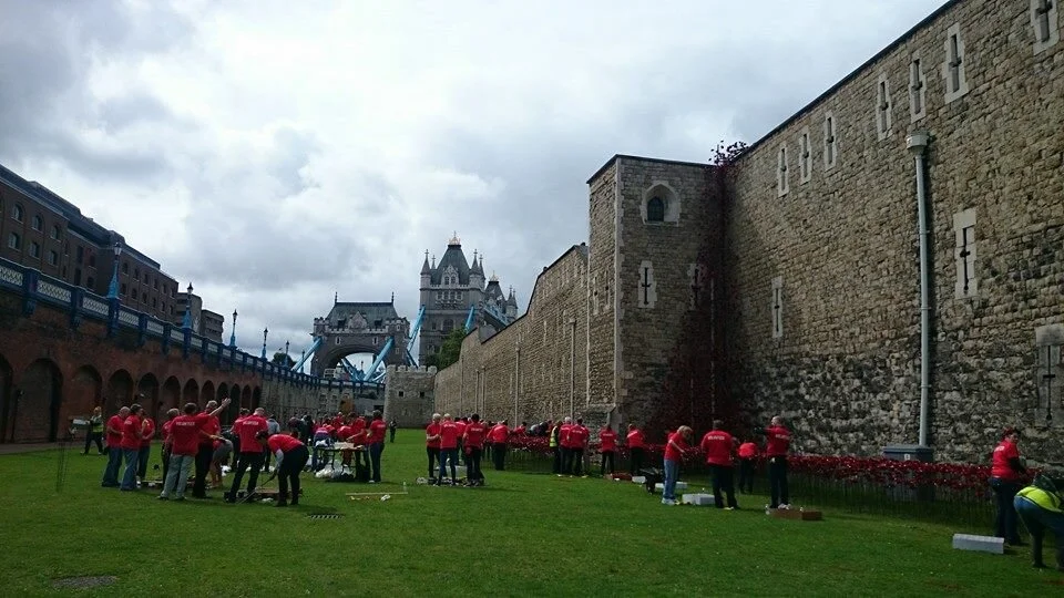 J Ngui Tower Poppies 3.jpg