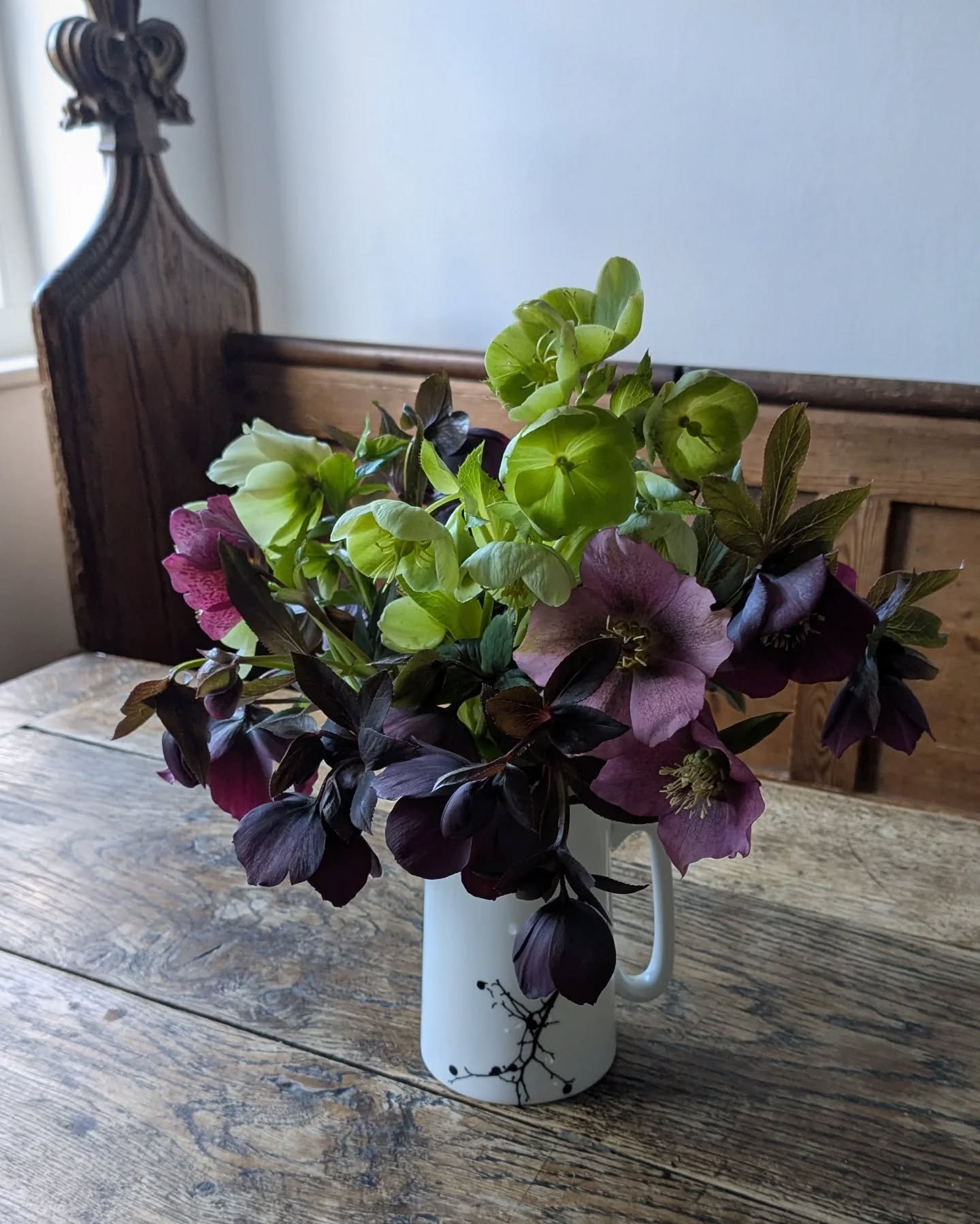 Hellebores