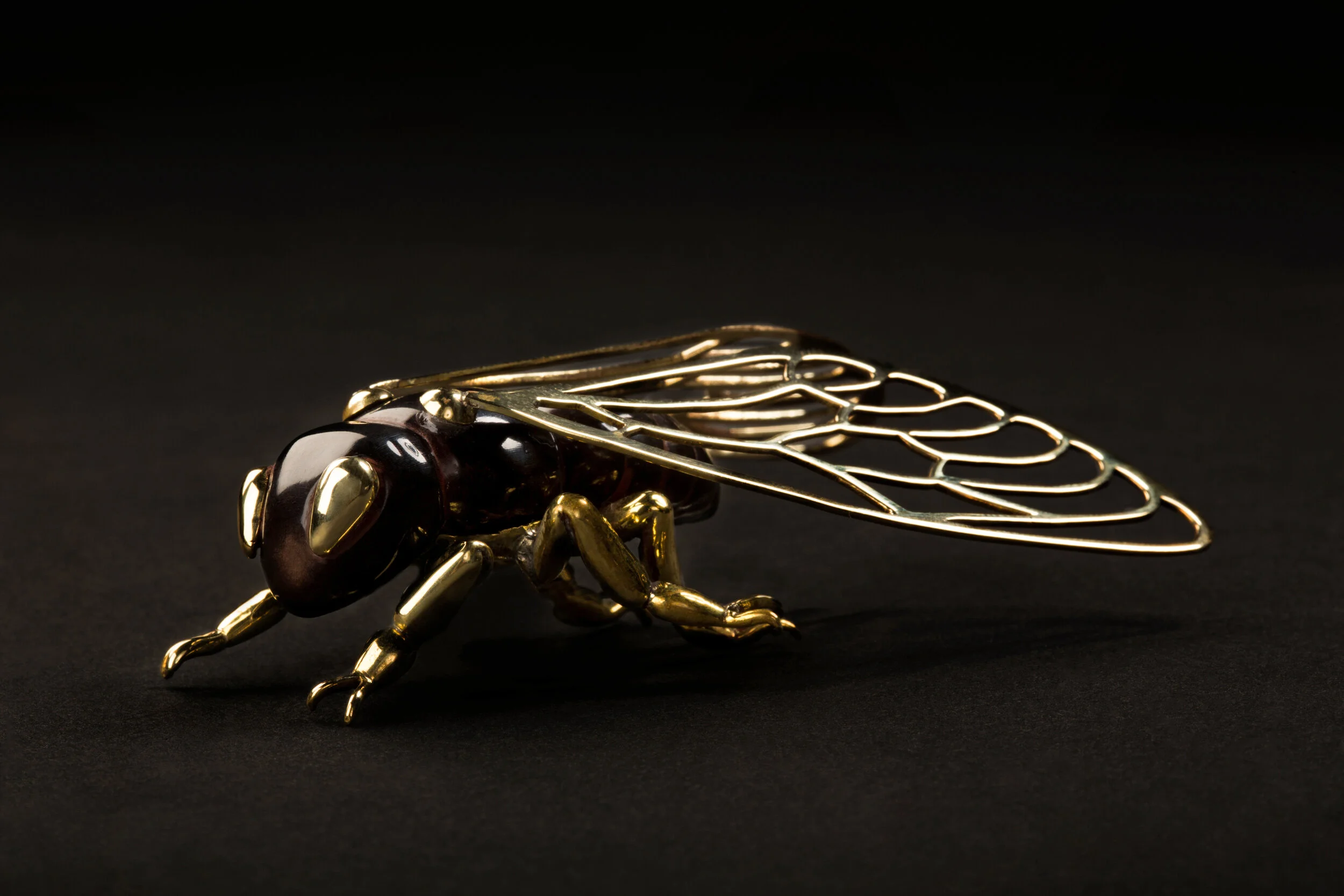 Cicada (brooch) 110x50mm sculpted horn and brass