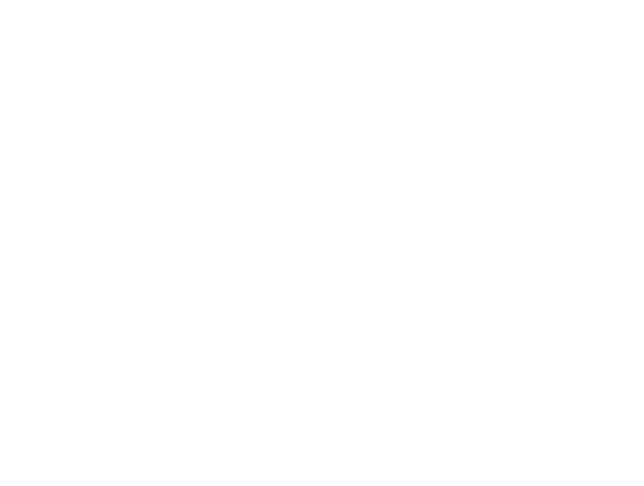 Flying Frog Consultants