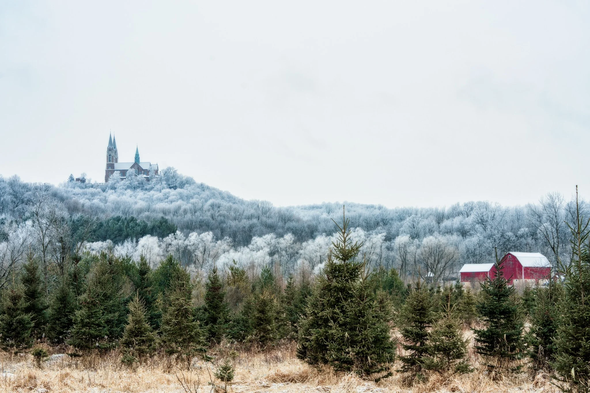 Holy Hill Digital Download - 38