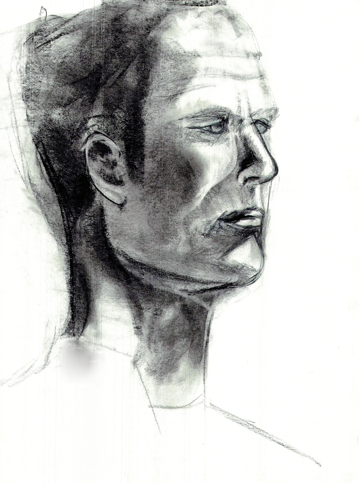 art12.jpg