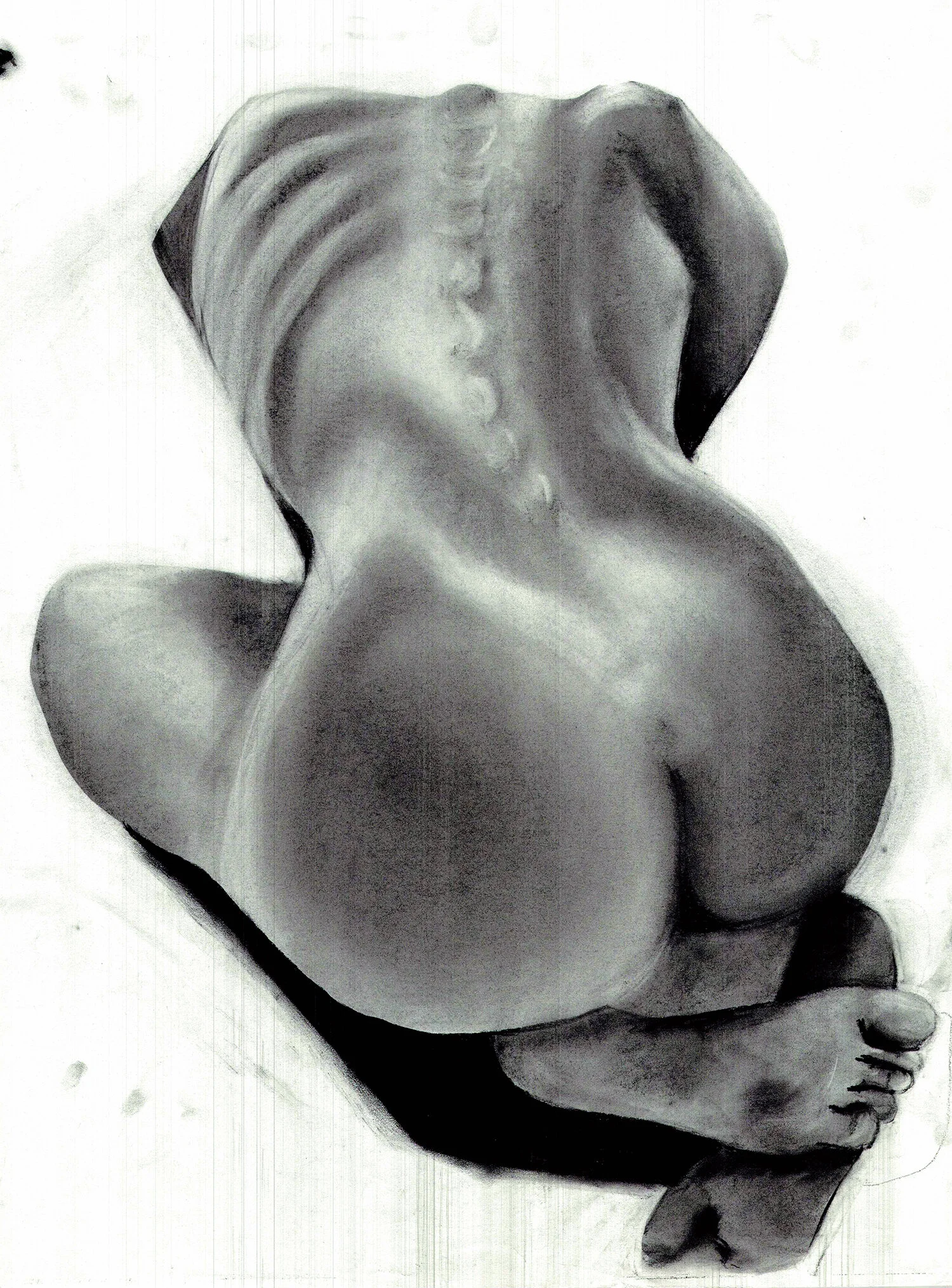 art13.jpg