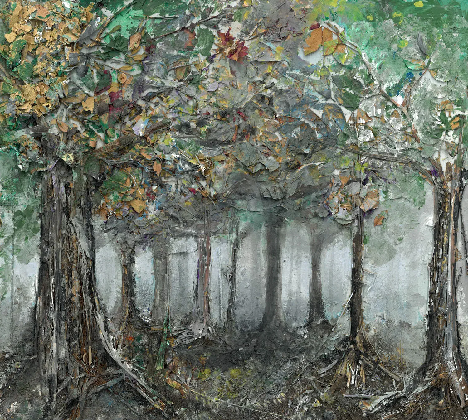 forest.jpg