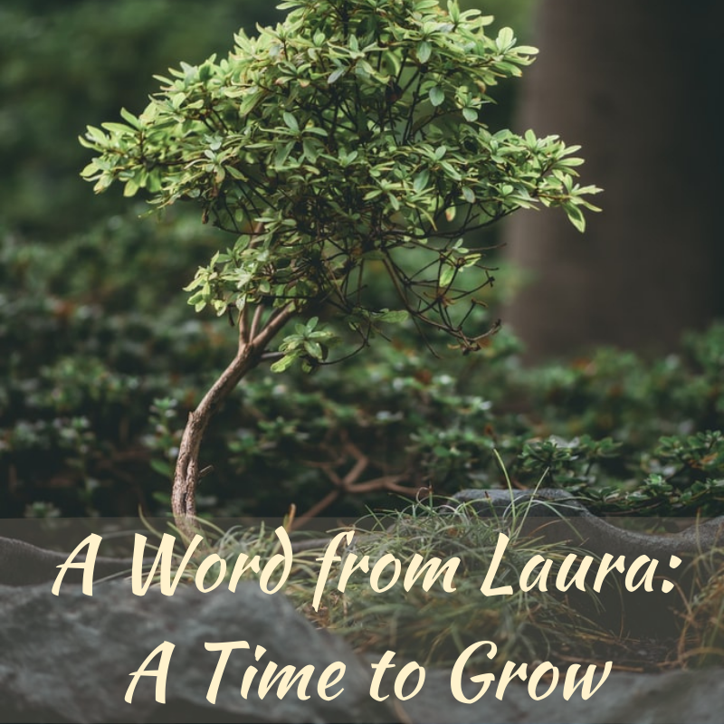 A Word from Laura: A Time to Grow