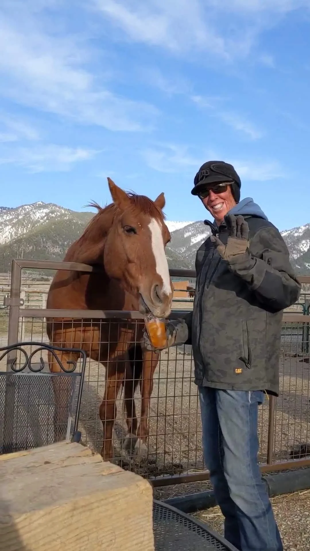 A woman in sunglasses and a black jacket feeding a brown horse with a white stripe on its face behind a fence, in a mountainous outdoor setting with snow-capped peaks in the background.