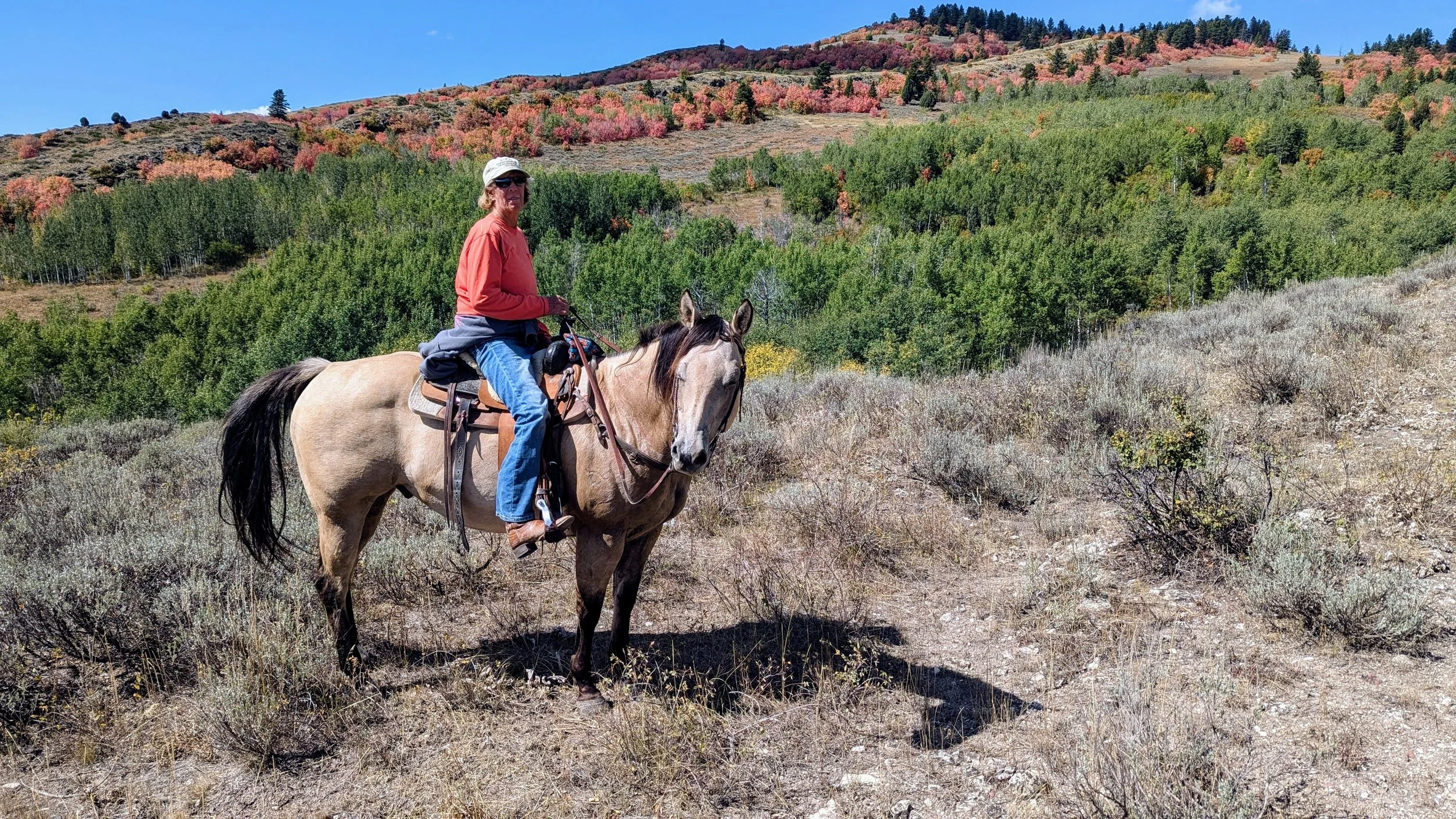A person riding a light tan horse with a black mane and tail in a dry, hilly landscape with bushes and green trees, and colorful autumn foliage on the distant hills under a clear blue sky.
