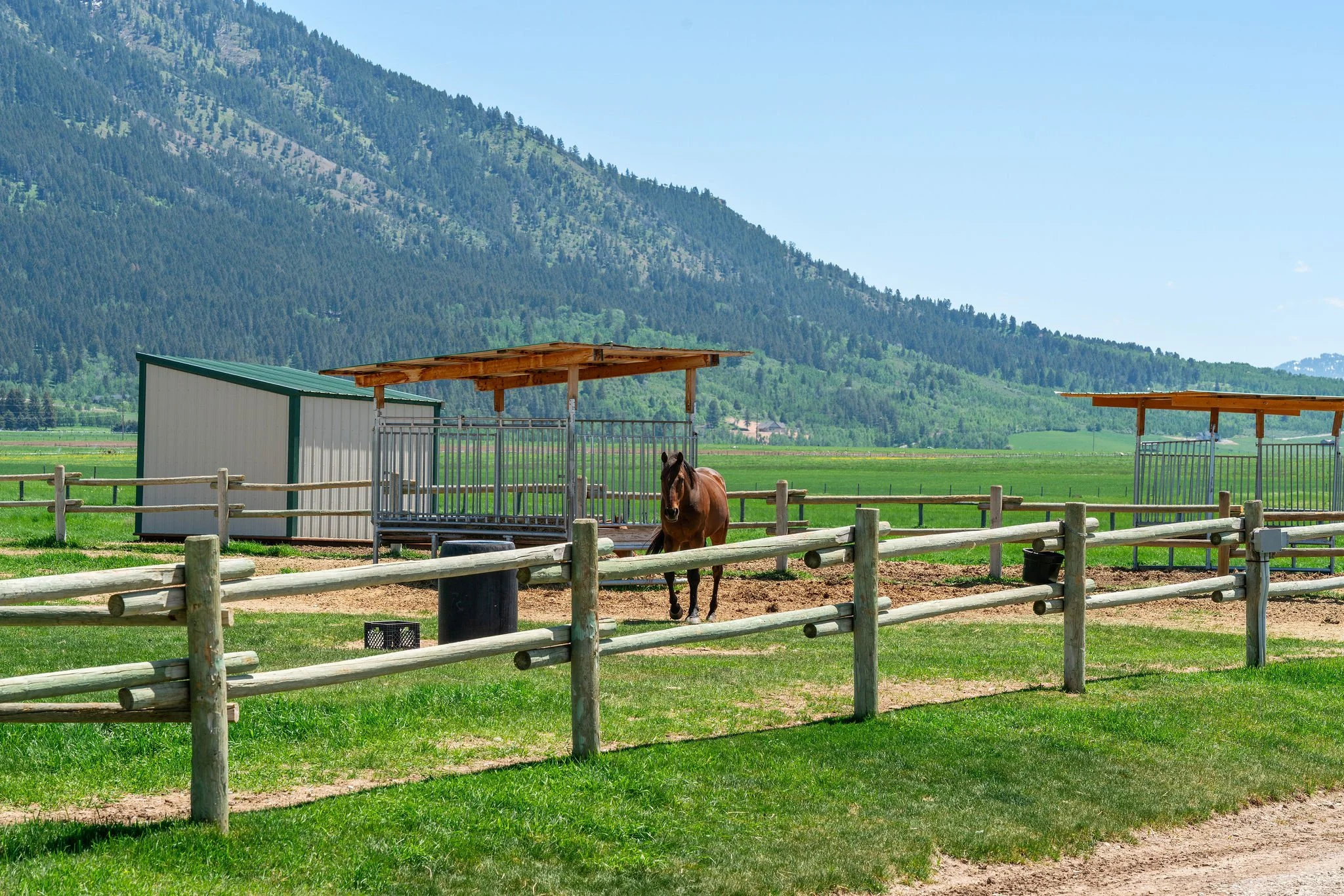 A brown horse standing in a fenced paddock with green grass, mounted on a dirt patch, with wooden horse shelters and a backdrop of mountains and a blue sky.