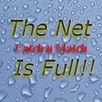 net is full.jpg