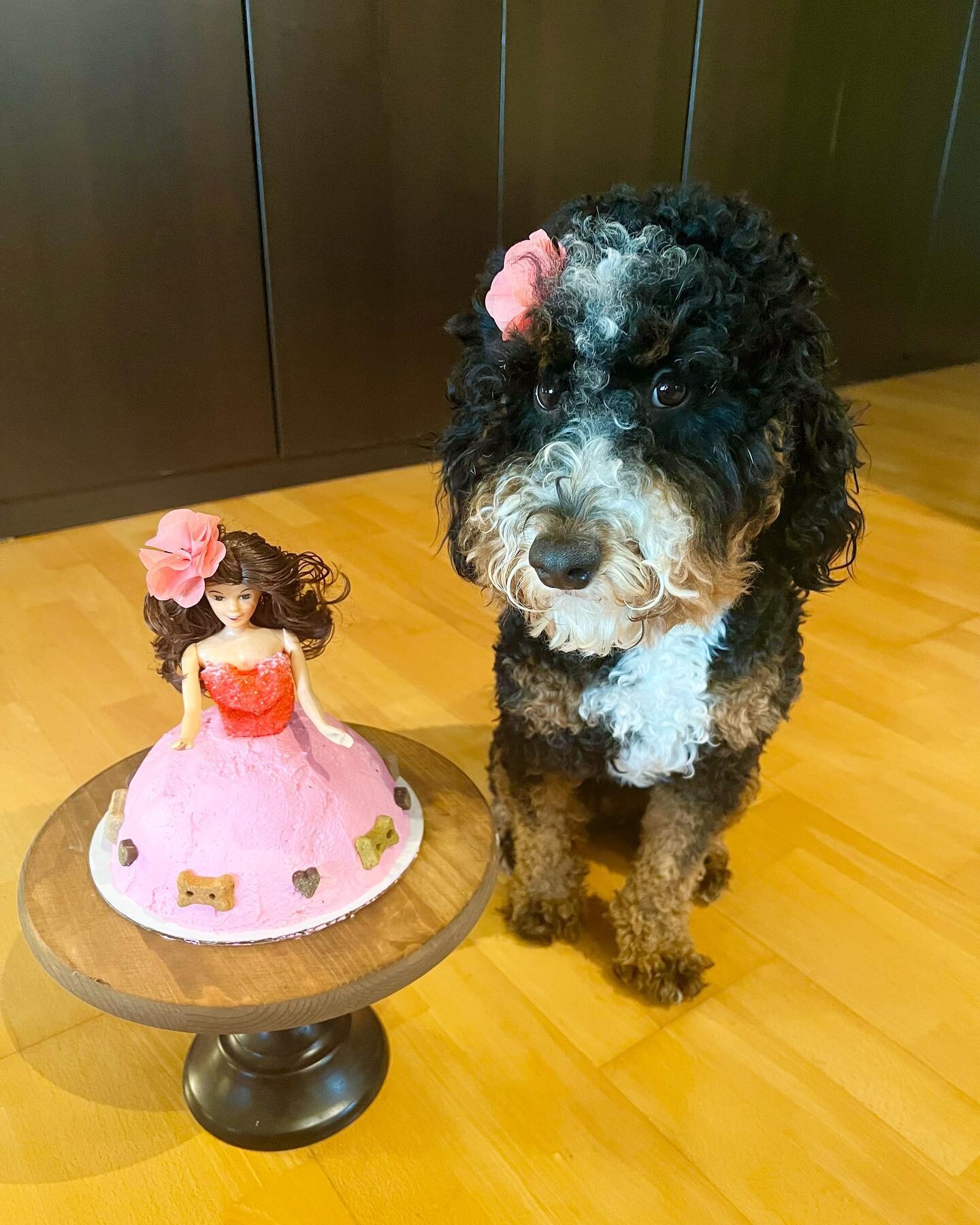 This Barbie is a princess pup! 👸🏽
Swipe to see the pup cake!

We made a special dog cake for a one year old bernedoodle pup!  Happy birthday Summer! We love you! 💕