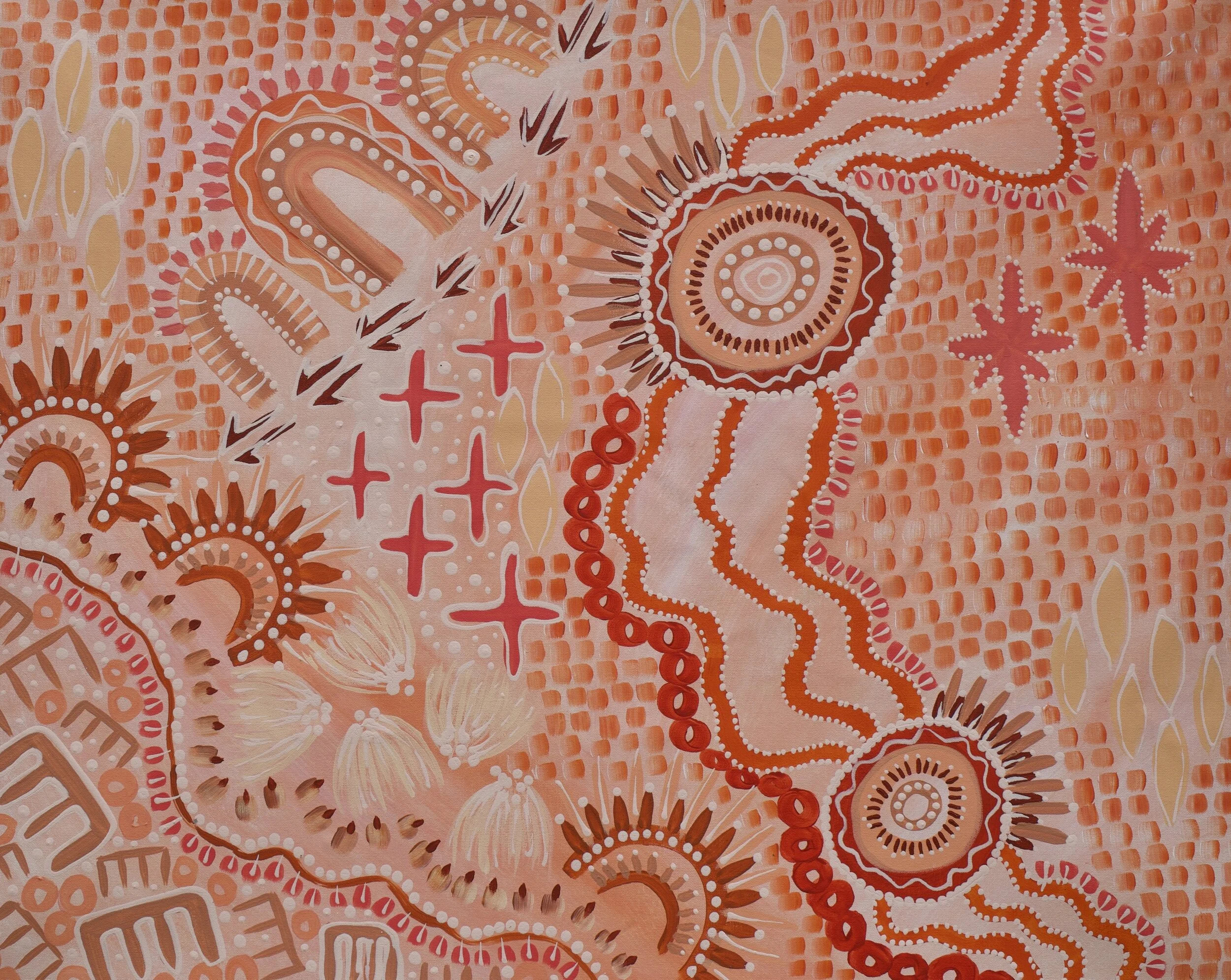 Kalkatungu Country 02