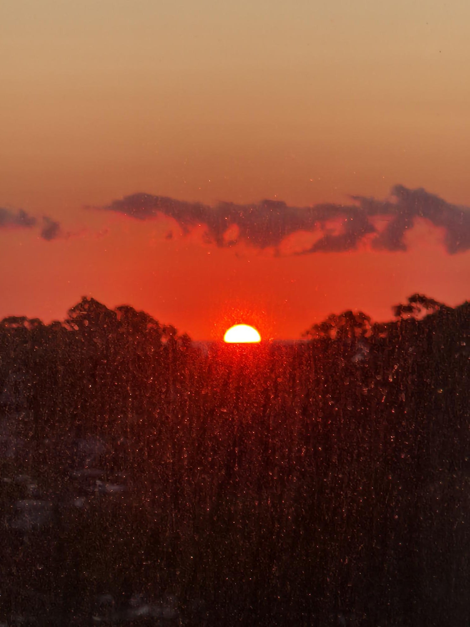 1000005553.jpg
