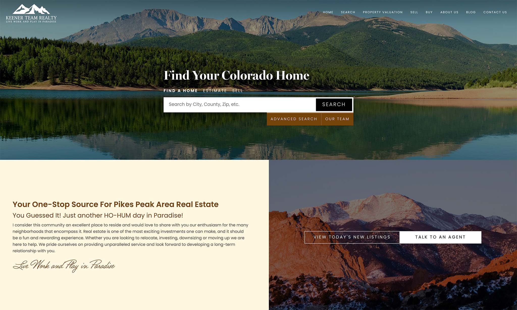 Real Geeks Website Design Colorado Springs