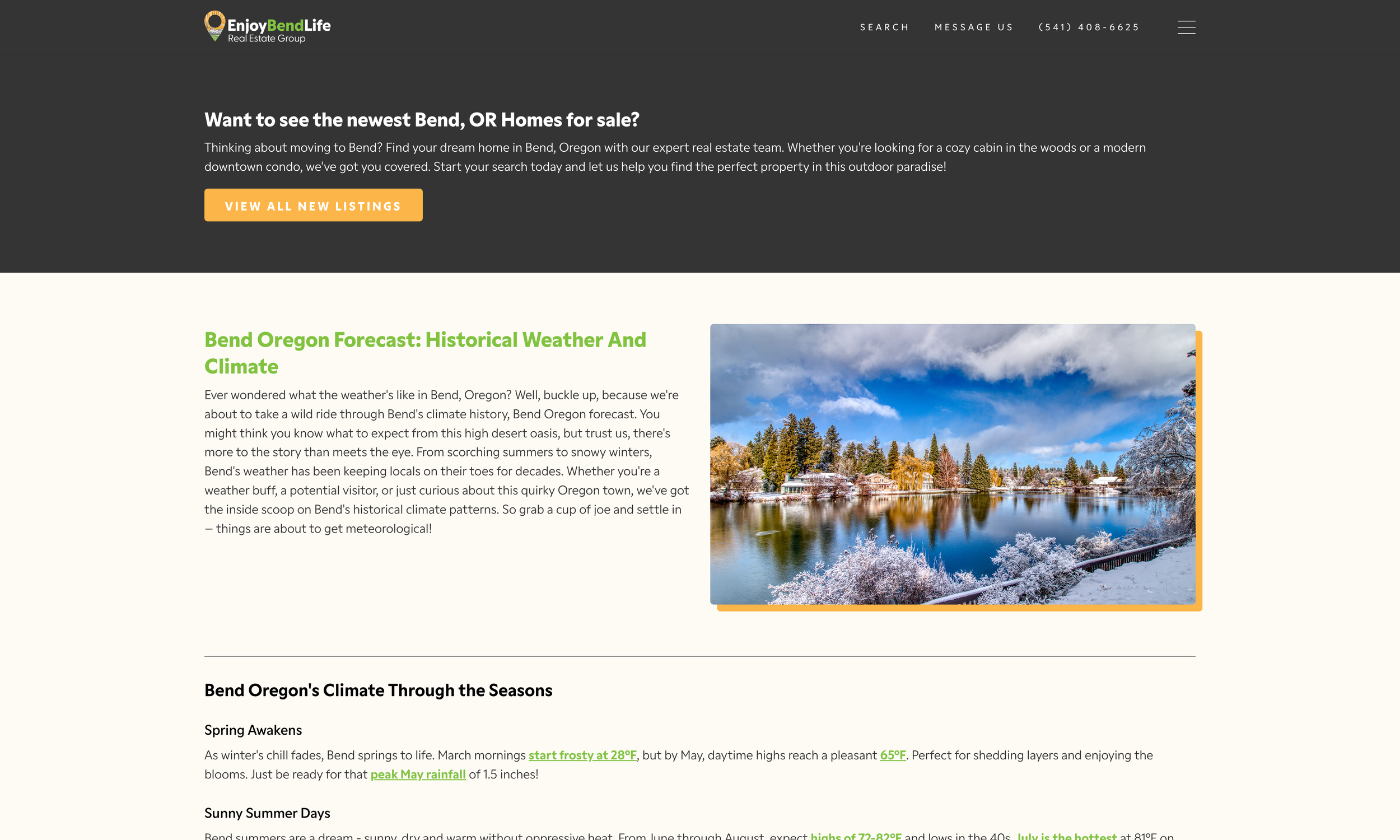 The Power of Ultimate Guides for Real Geeks Website SEO