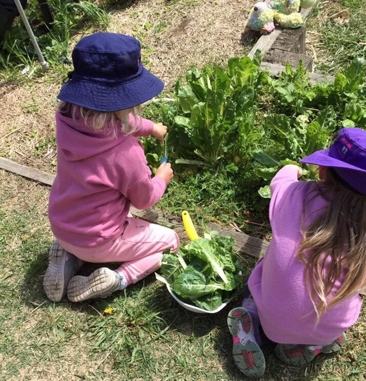From our garden to our plate