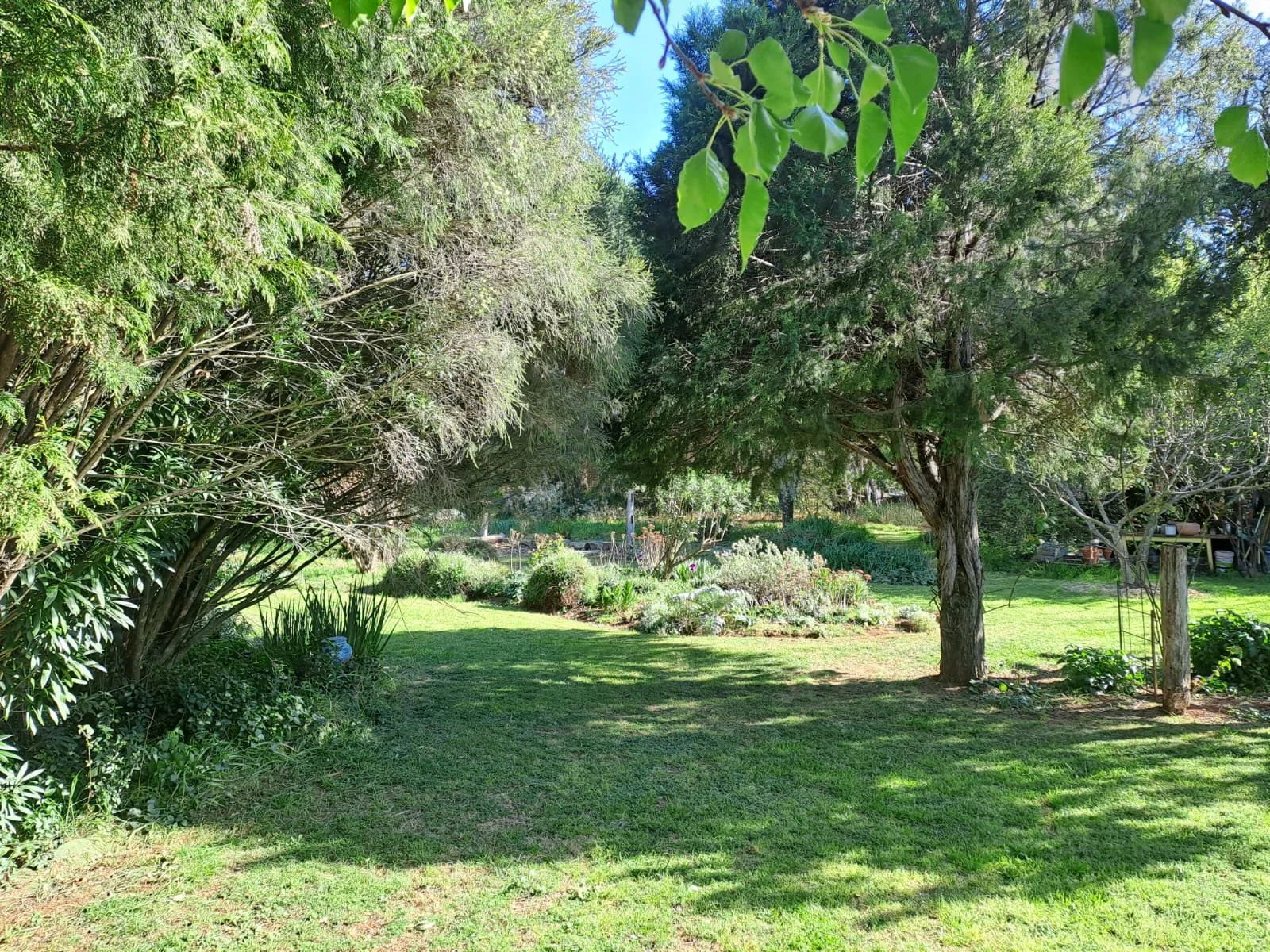 araluen-8.jpg