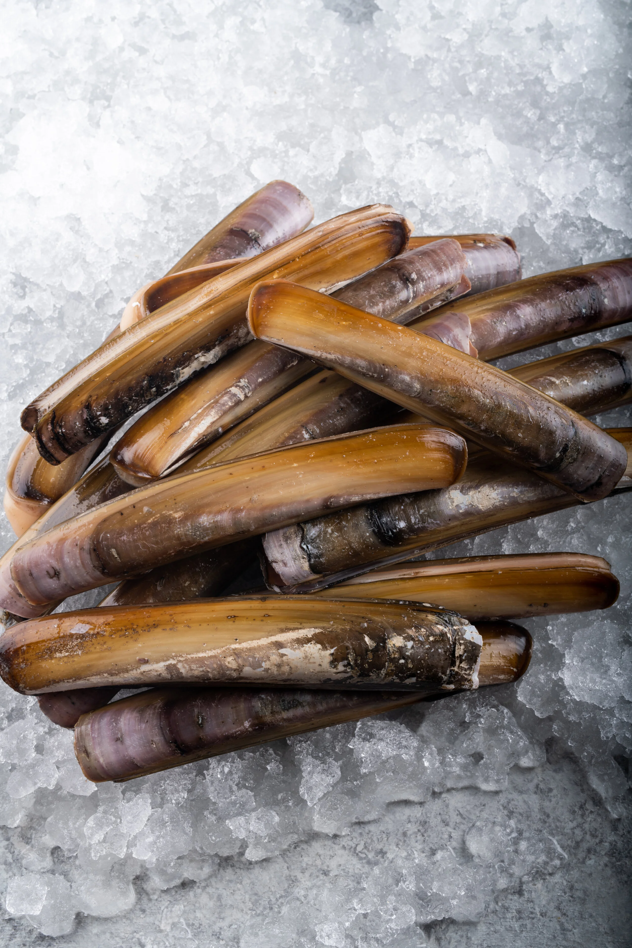 Order — O Y S T E R B L Ø Ø D