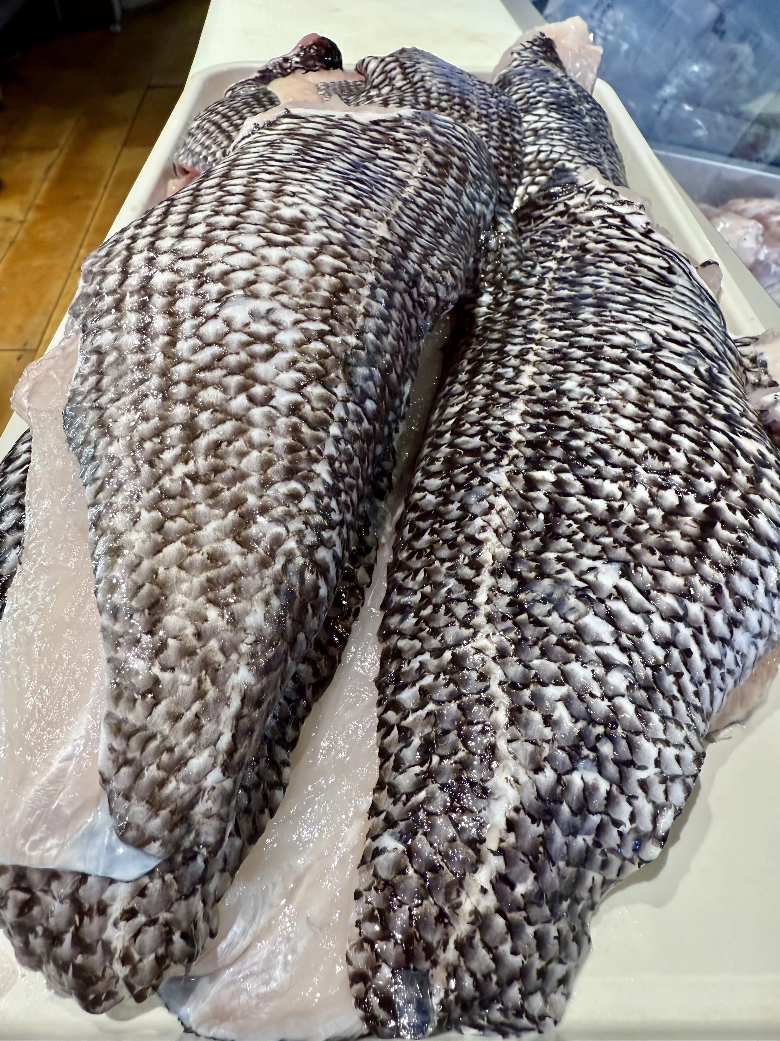 blackbass.jpg