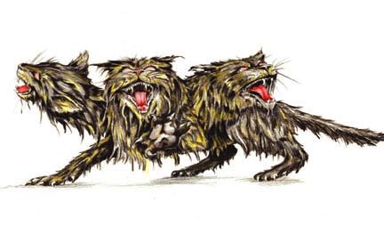 cat plate72 copy.jpg