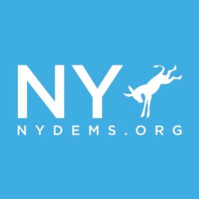 NYdems.jpg