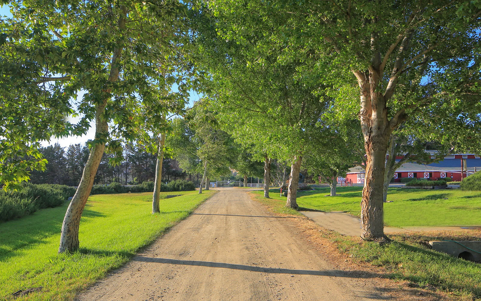 Rancho de la Marron