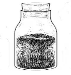 Making Magical Salts with Dylan the Eccentric Mystic (at Gaia’s Workshop)
