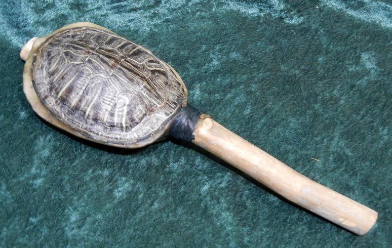 Turtle Rattle.jpg